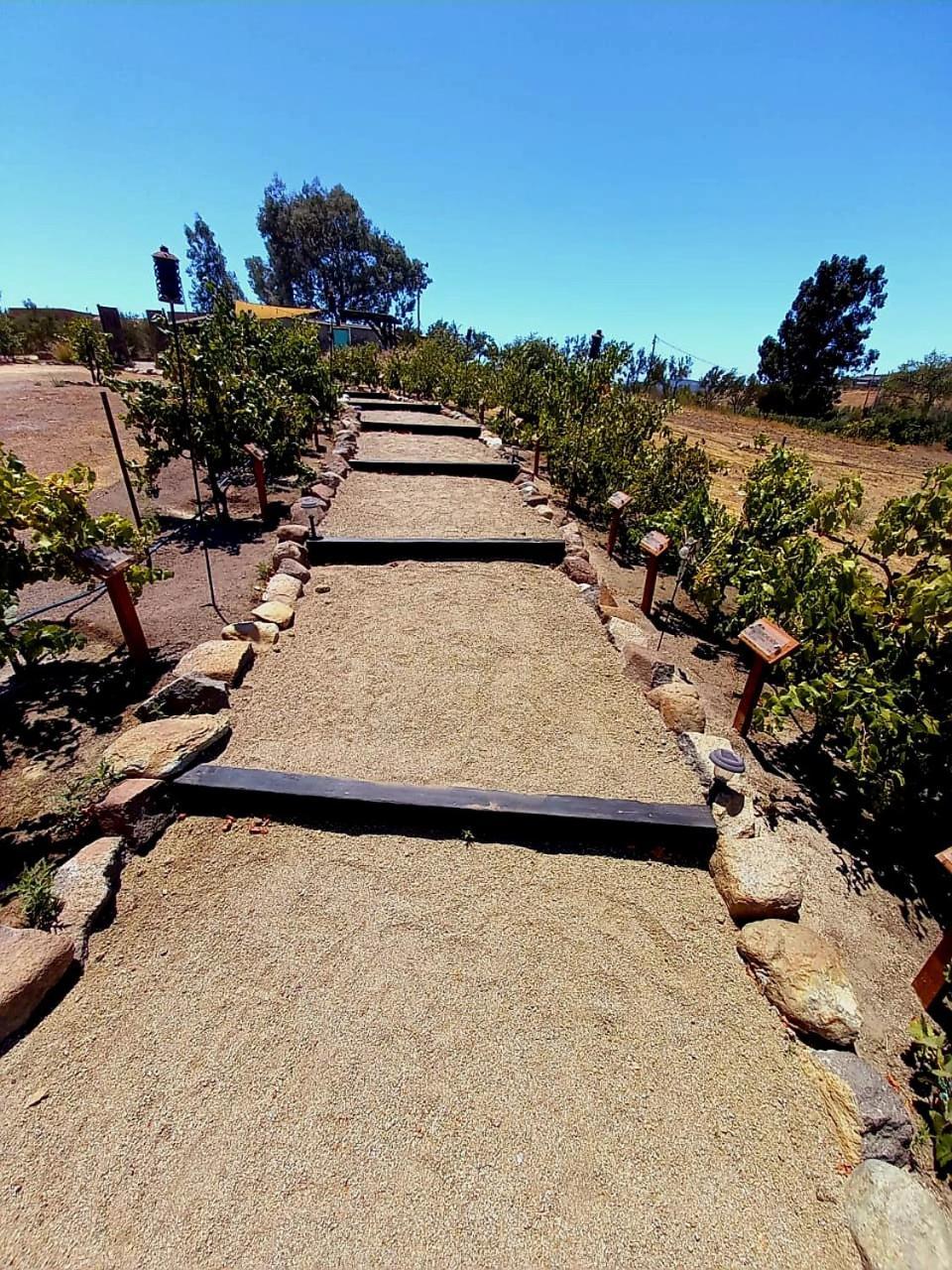 Finca Vidandrei Casa Eucalipto Valle de Guadalupe Exterior photo