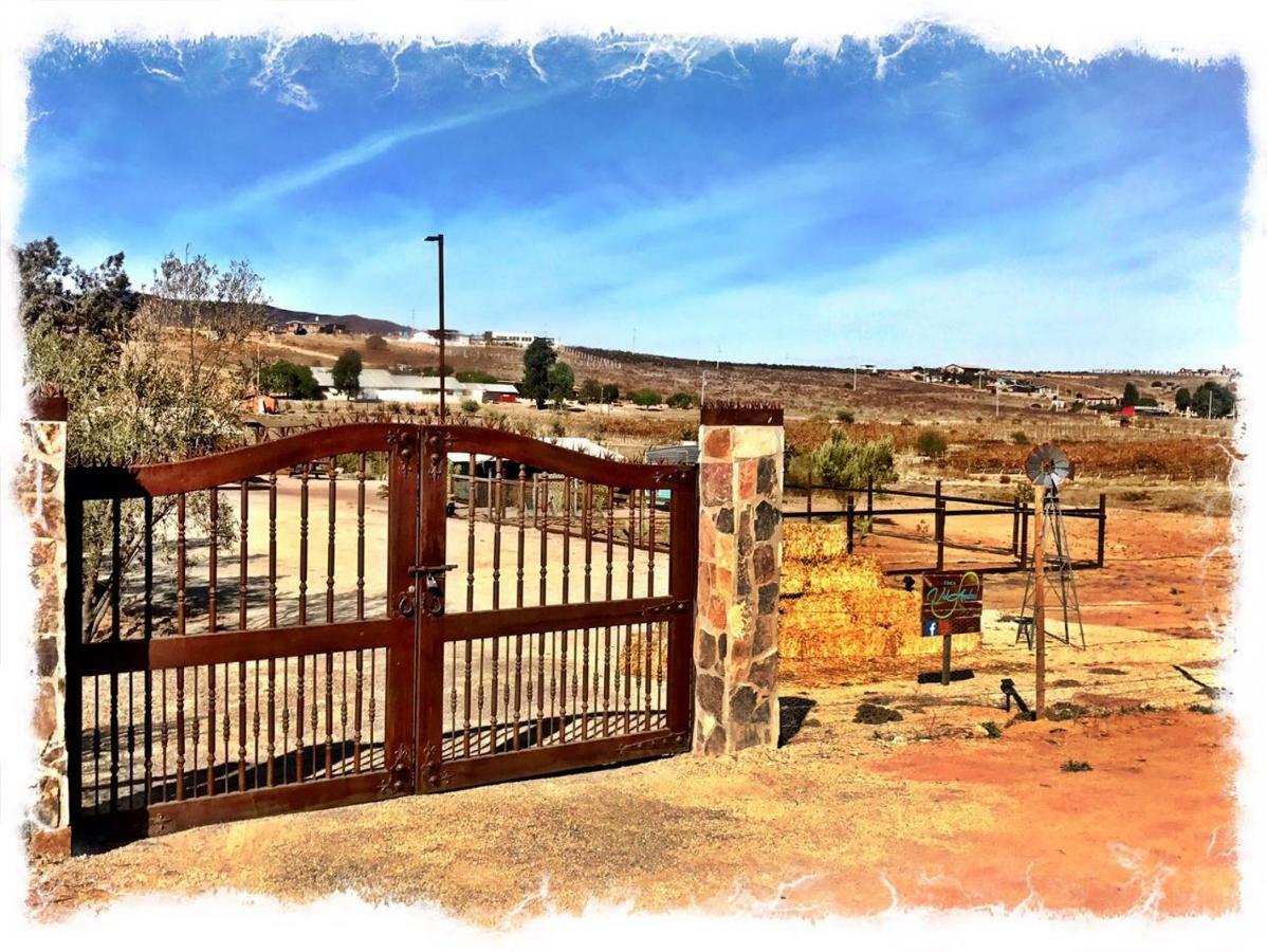 Finca Vidandrei Casa Eucalipto Valle de Guadalupe Exterior photo